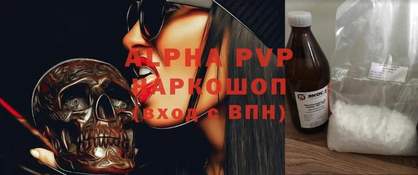 a pvp Пересвет