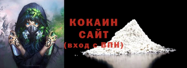 дживик Пестово