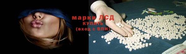 дживик Пестово