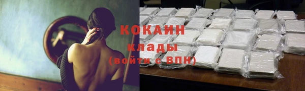 a pvp Пересвет