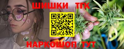 гашик Жуковский
