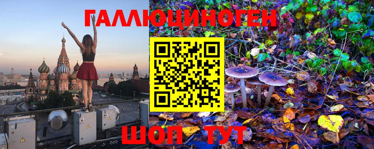 Кострома  Псилоцибиновые грибы Magic Shrooms  Вход с VPN 